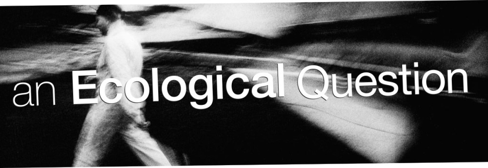 PRIVATE-37 an Ecological Question