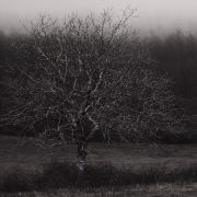 Photo of Fabien Cochet